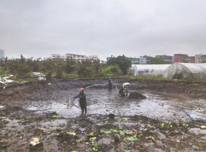 江北河道鱼塘清淤